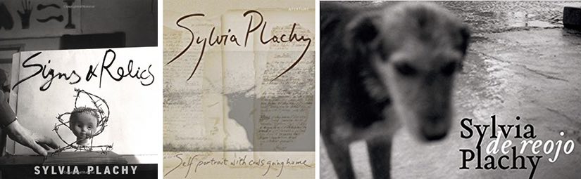 Sylvia Plachy 1943 books iFocus